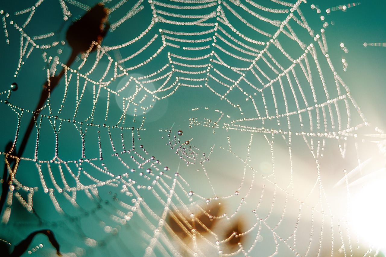 How to Upscale Low-Quality Images for Web Using AI