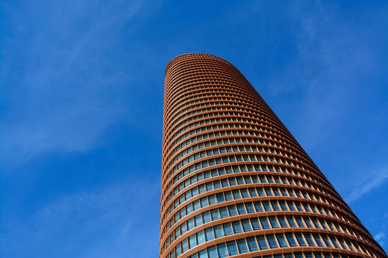 Building High-Performance Portfolios with Carrd