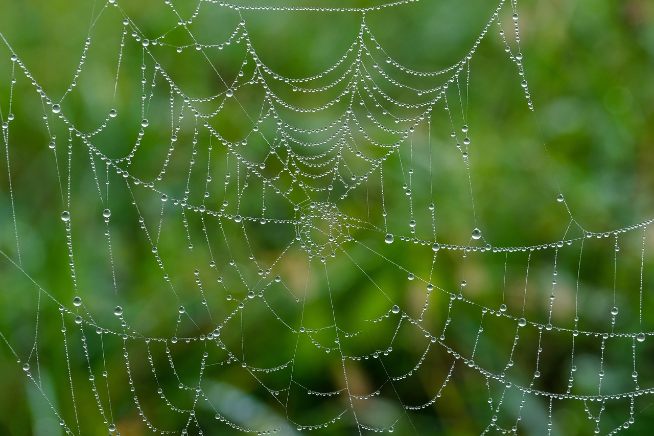 How to Upscale Low-Quality Images for Web Using AI