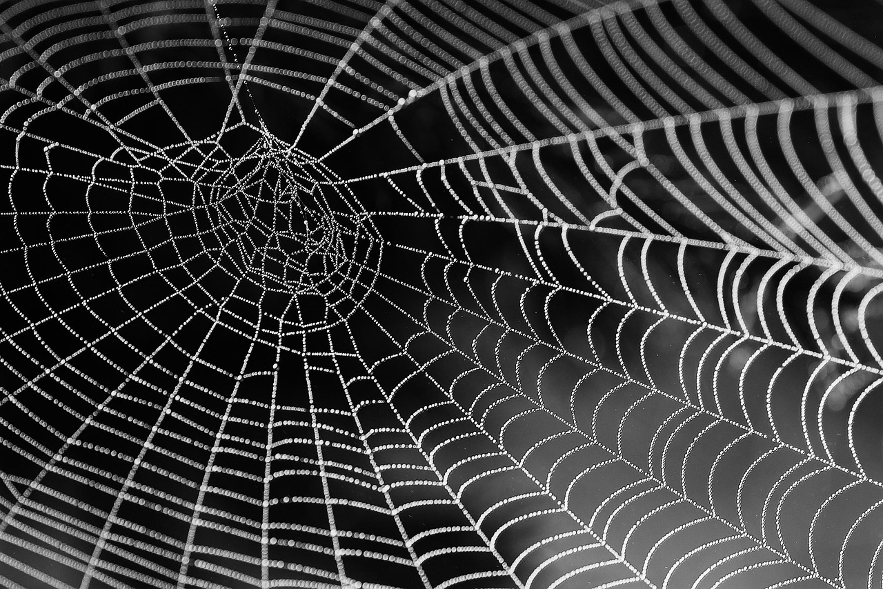 How to Productize Your Web Design Services