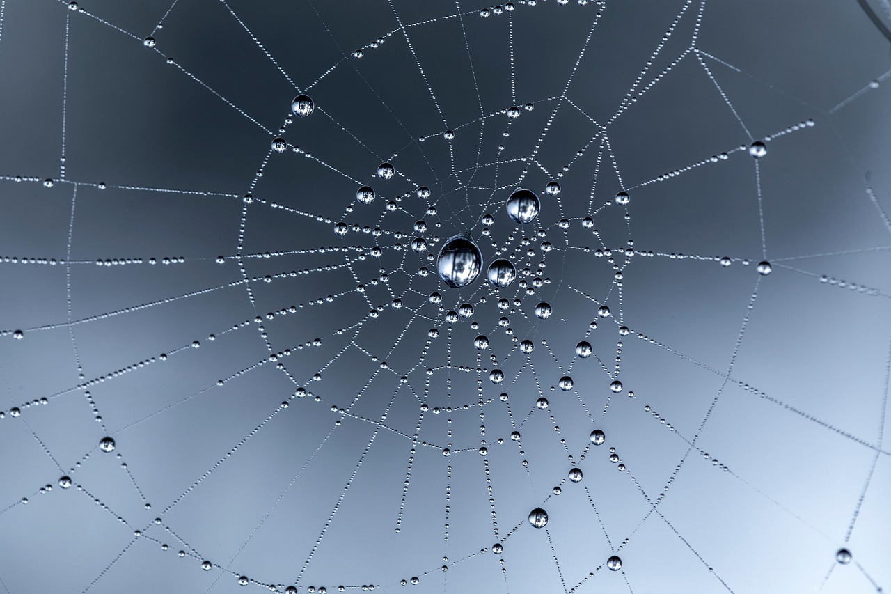 How to Upscale Low-Quality Images for Web Using AI